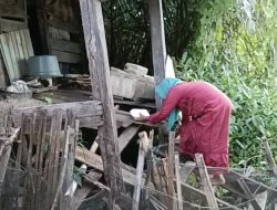 Kisah Nenek Ica, Hidup Sebatang Kara di Rumah Tak Layak Huni di Bone